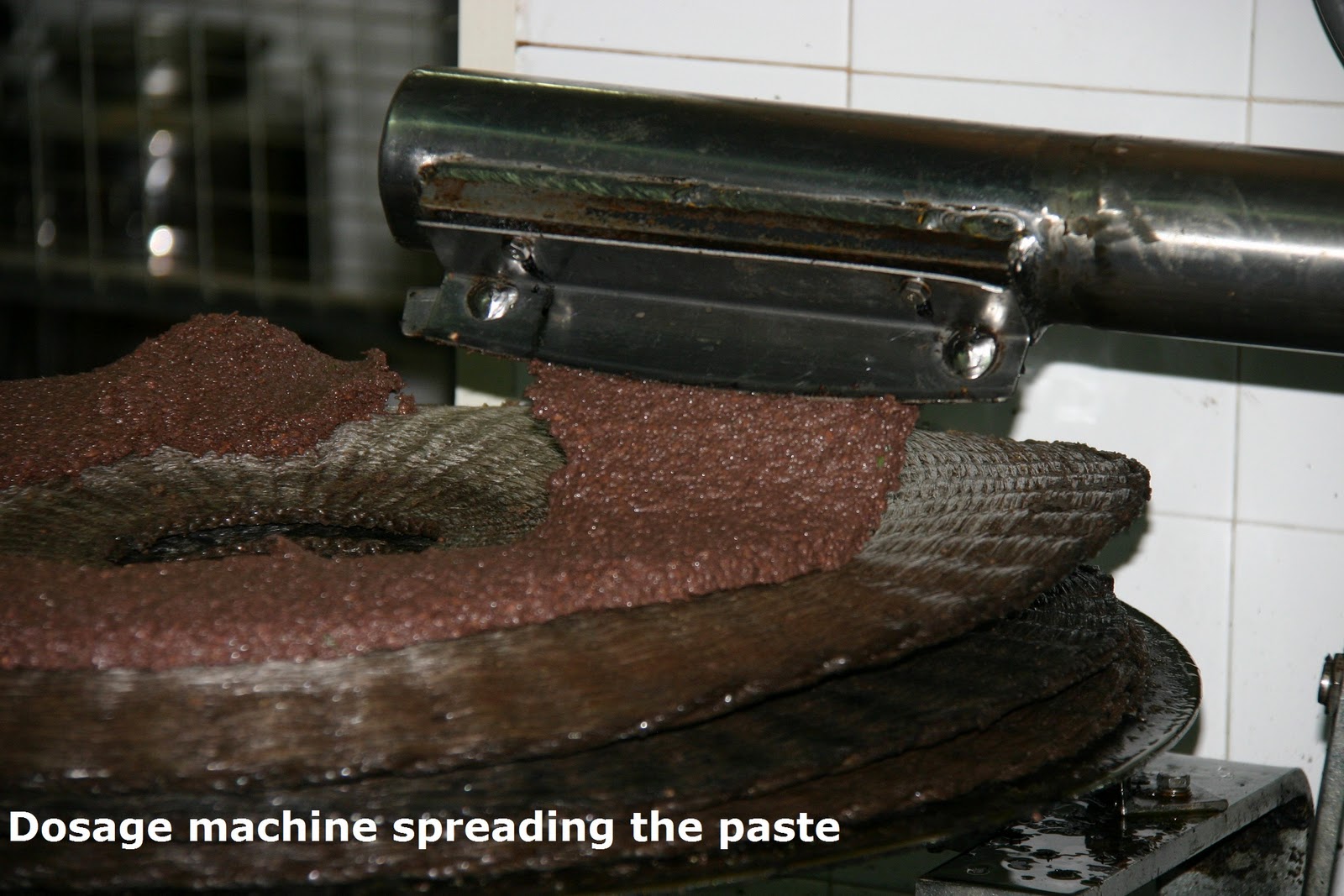Todd's Tuscan Trails Traditional Olive Oil Press in the Val D'Orcia