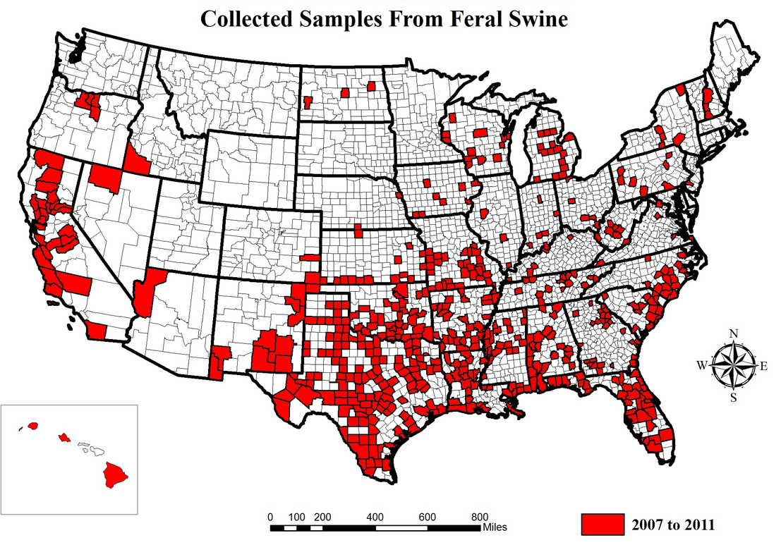 The Rural Blog Virginia forming - Feral Swine Map