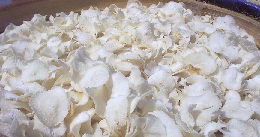 Contoh Peluang Usaha Kuliner Home Industri Modal Kecil