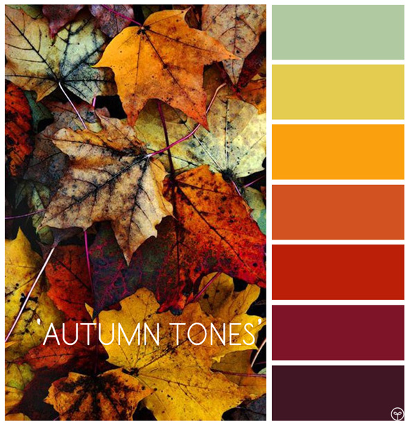 littletree designs: colour inspiration...'autumn tones'
