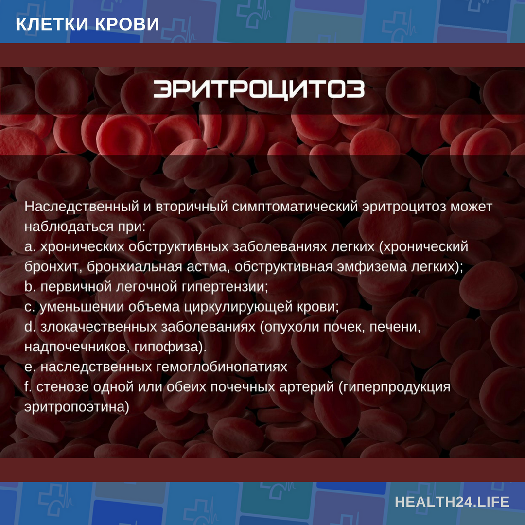 Диета при эритроцитоз за неделю Диета при эритроцитоз за неделю