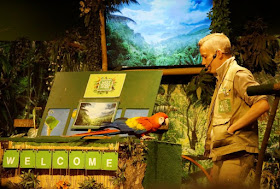 Phantastische Vögel aus aller Welt: Unterwegs im Weltvogelpark Walsrode (+ Verlosung). Die Indoor-Show mit Papageien und Aras ist witzig.