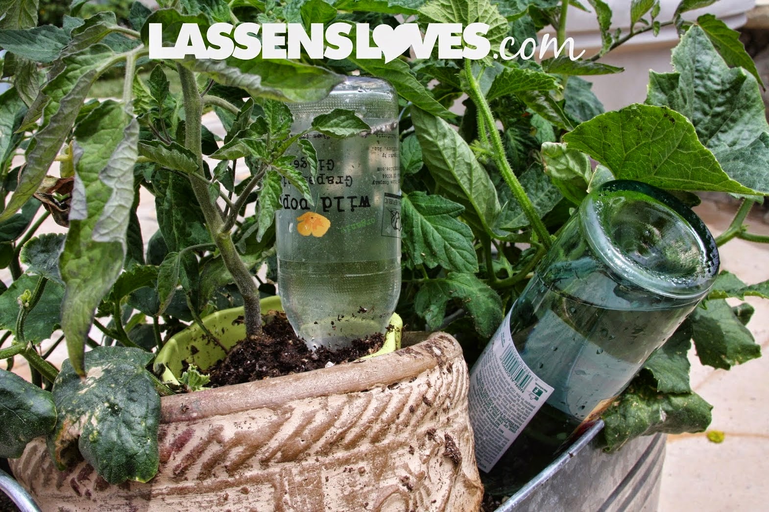 container+gardening, water+conservation, saving+water, save+water