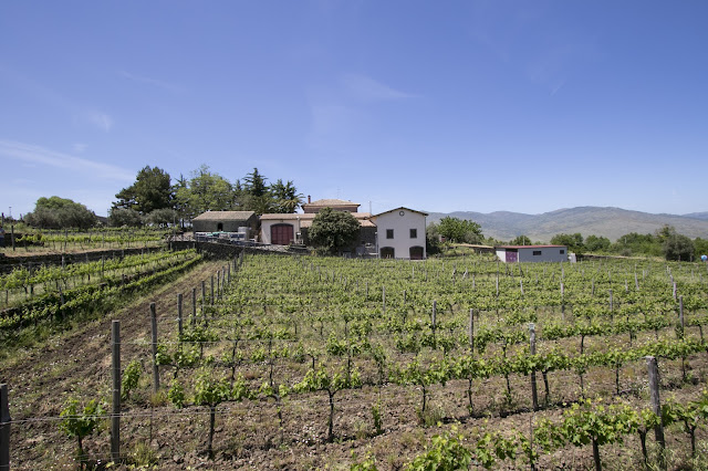 Azienda vitivinicola Destro