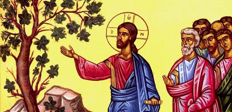 Résultat de recherche d'images pour "Lucas 13,1-9"