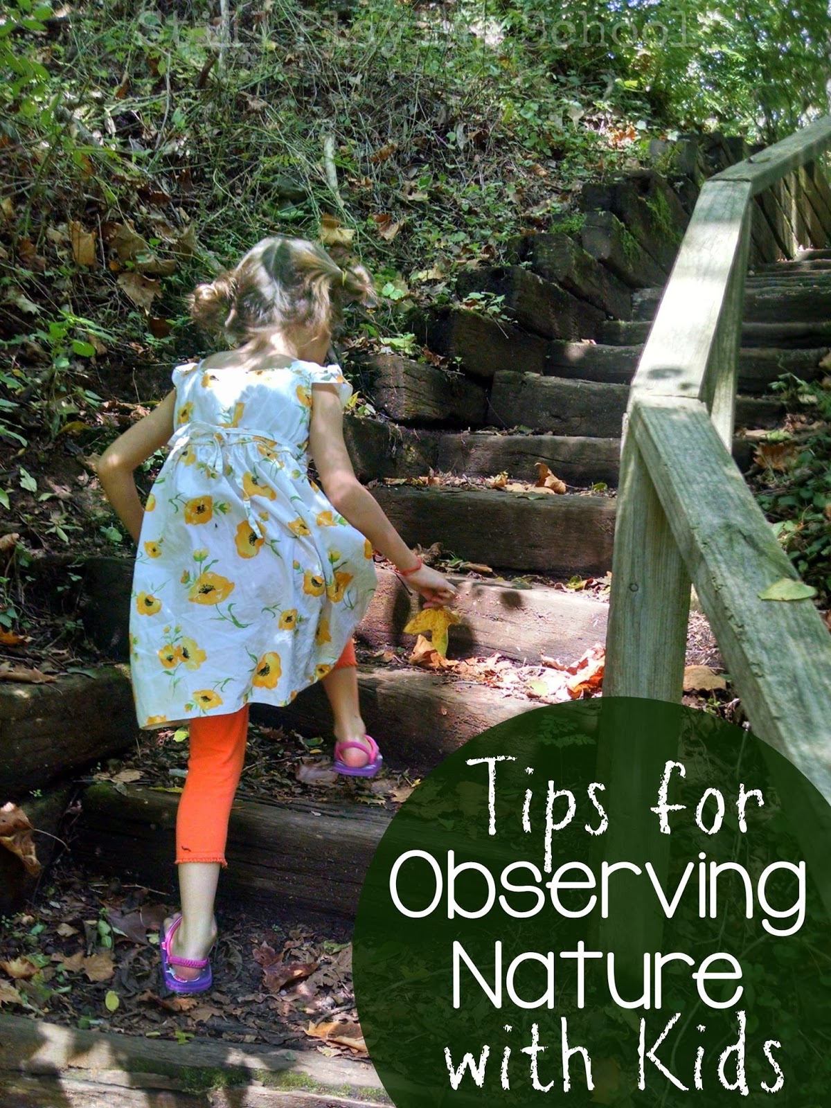 Tips for Observing Nature with Kids Still Playing School