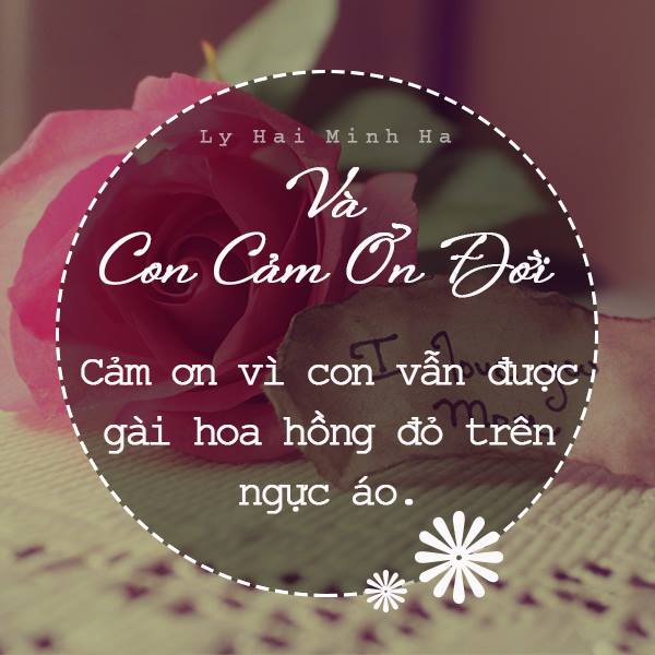 Những lời cảm ơn Mẹ ý nghĩa xuất phát từ trái tim con