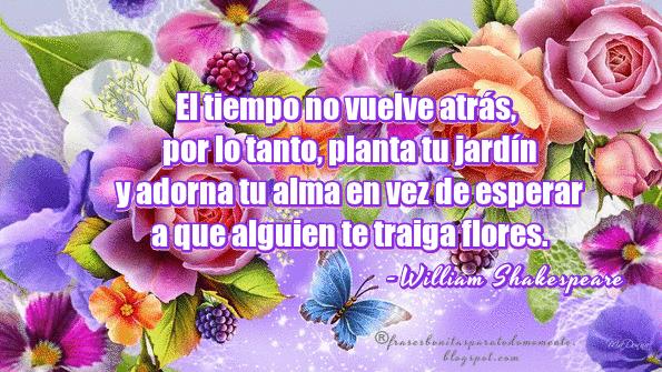 William Shakespeare, Frases del Tiempo, Frases para el alma, Actitud positiva, Decisiones de la vida, Flores, Frases de rosas, 