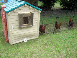 chicken tractor pvc purposed making re frame items