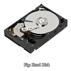Hard disk Memory Device