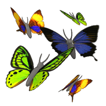 Resultado de imagem para borboletas gif