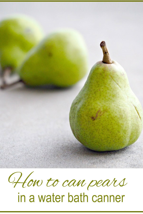How to Can Pears in Light Syrup Oak Hill Homestead