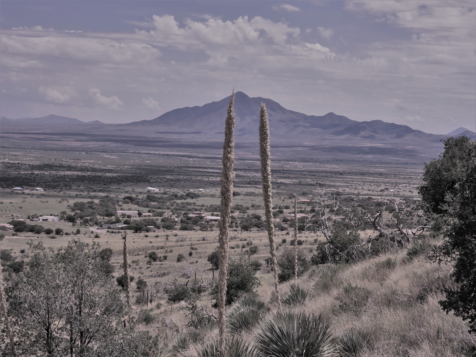 Living Rootless: Arizona: Sierra Vista: Our Lady of the Sierras