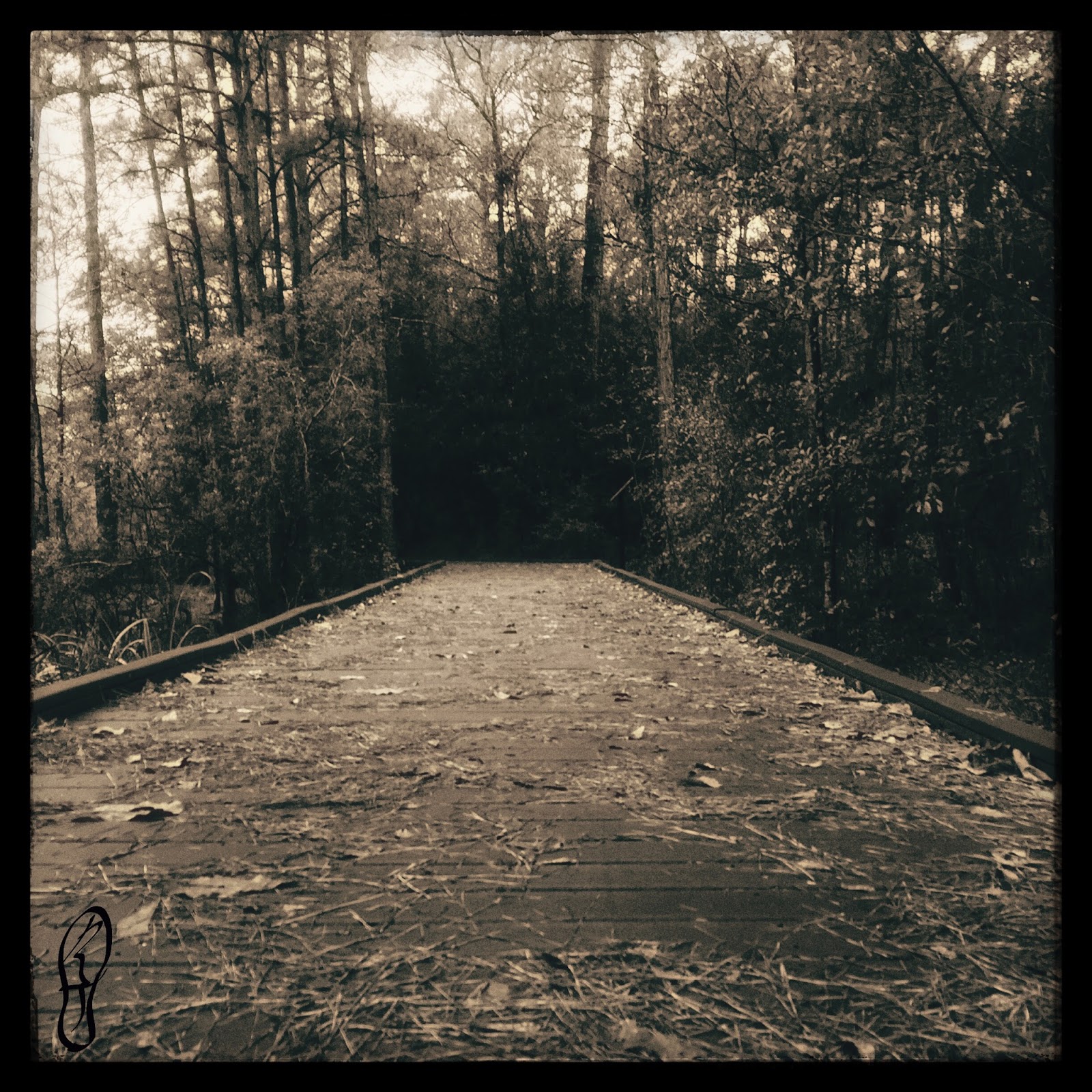 Sole Shaping 4 Places to Run in The Woodlands