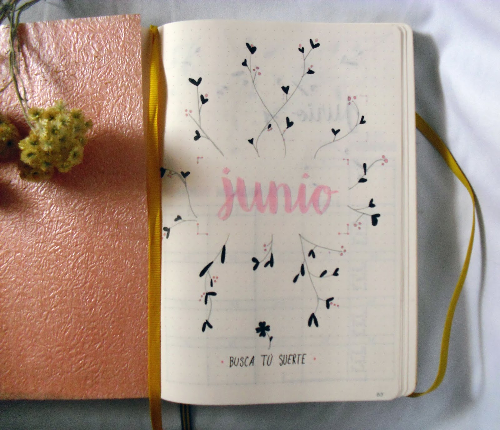 Bullet journal Literario - Junio 2019 - Mirada Lectora