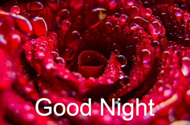 Good Night HD Images Good Night HD Images