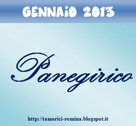 Romina Tamerici Panegirico la parola di gennaio 2013