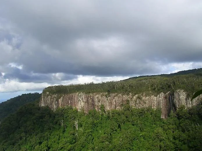Springbrook National Park, Australia (with Map & Photos)