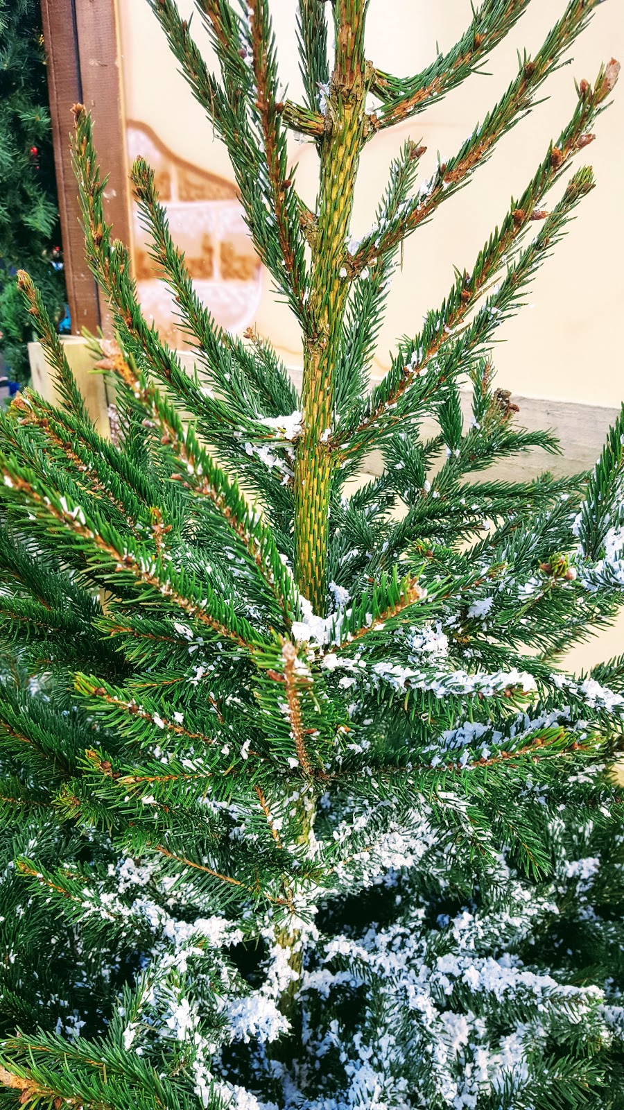 Nottingham Christmas Market: What I Wore Tree