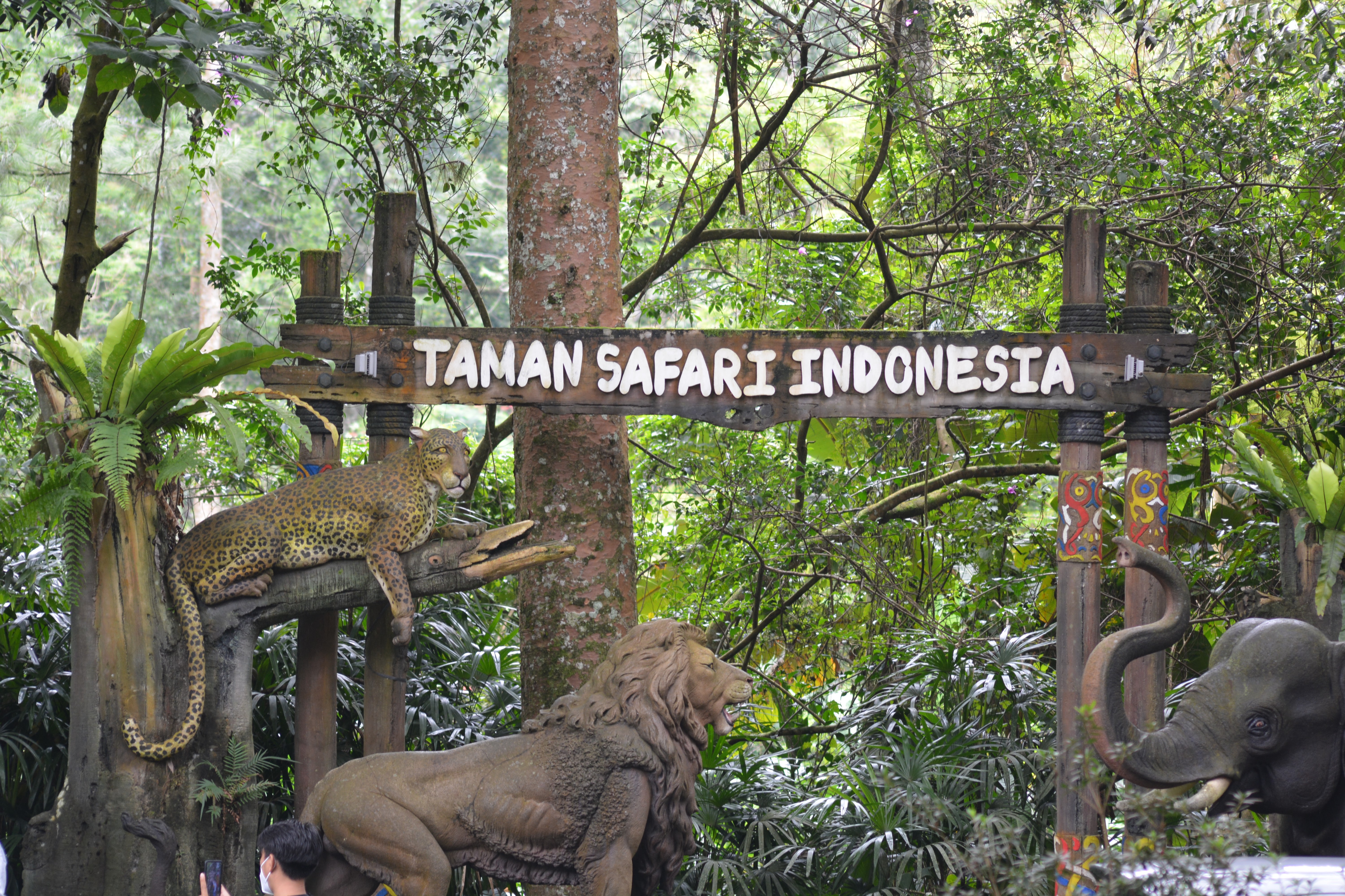 Pengalaman Berlibur Dan Berfoto Di Taman Safari Indonesia Cisarua Bogor Di Saat Pandemi Covid 19 On My Way
