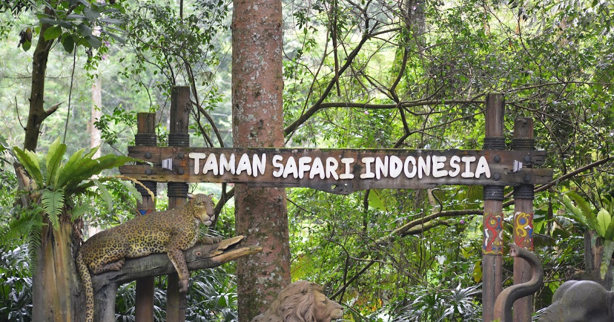 Pengalaman Berlibur dan Berfoto di Taman Safari Indonesia, Cisarua