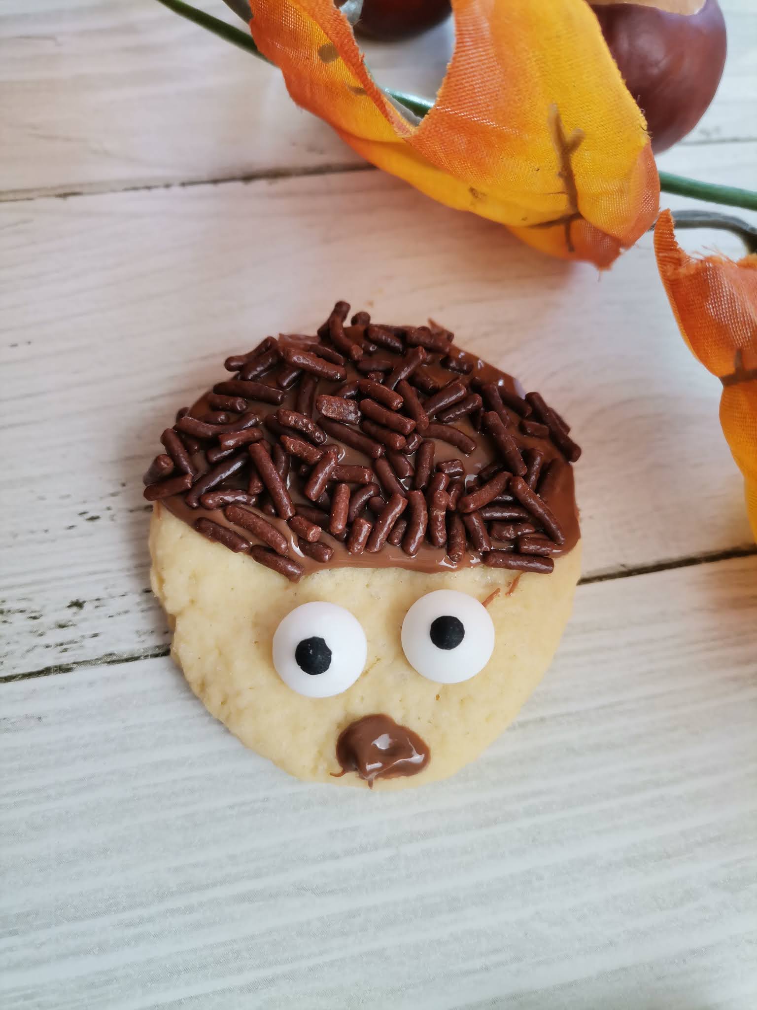  Familie und mehr : Backen mit Kindern: kleine Keks-Igel Motiv 