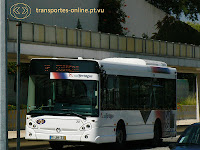 transportes online