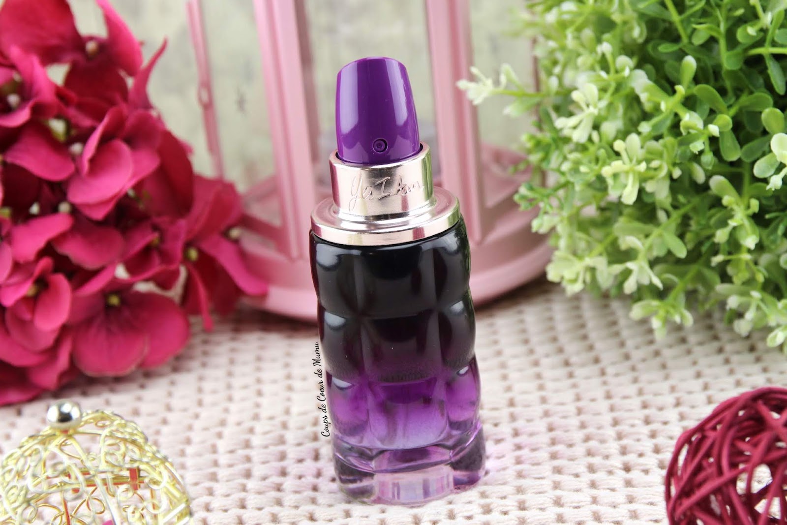 yes i am purple cacharel