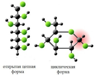 15%2B%25D1%2583%25D0%25B3%25D0%25BB В результате чего образуются моносахариды