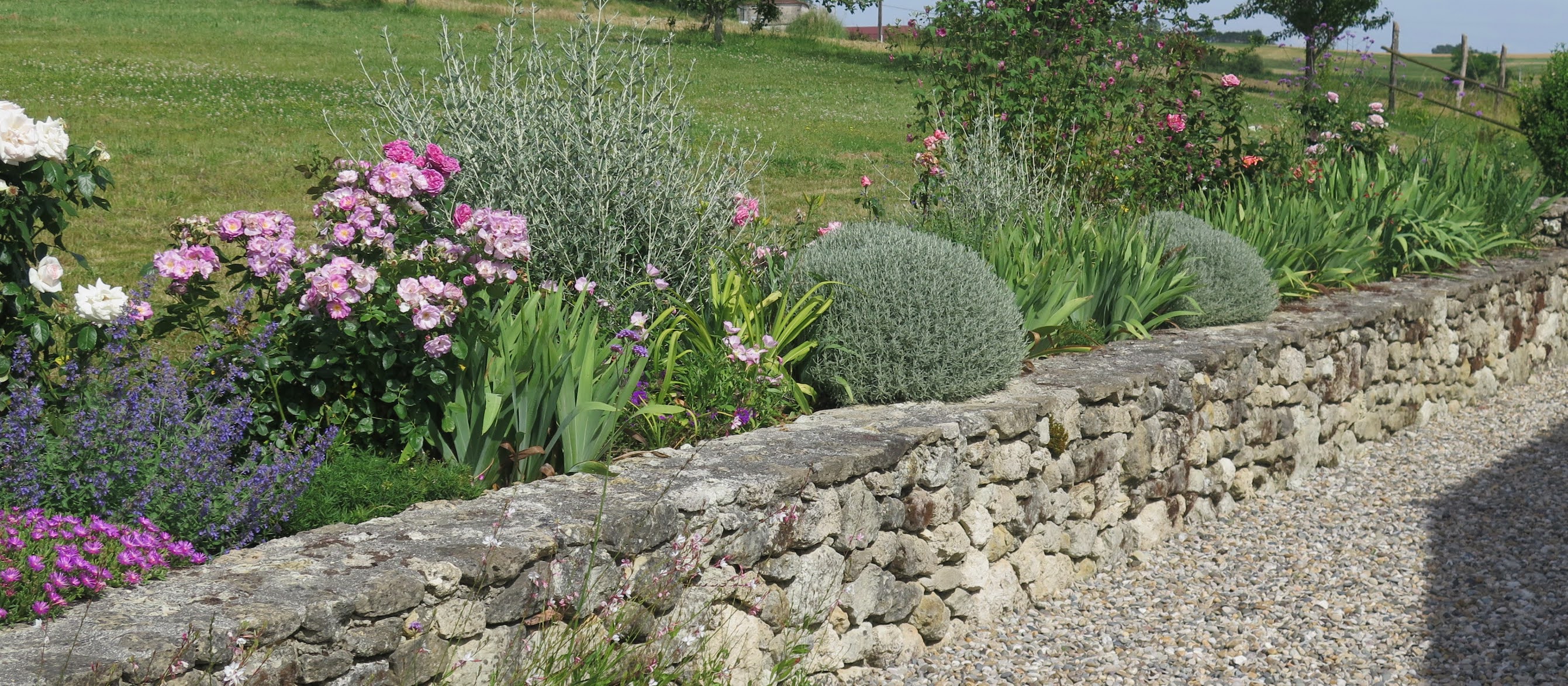 Au Bourg life in the slow lane in SW France Broad beans are sleeping