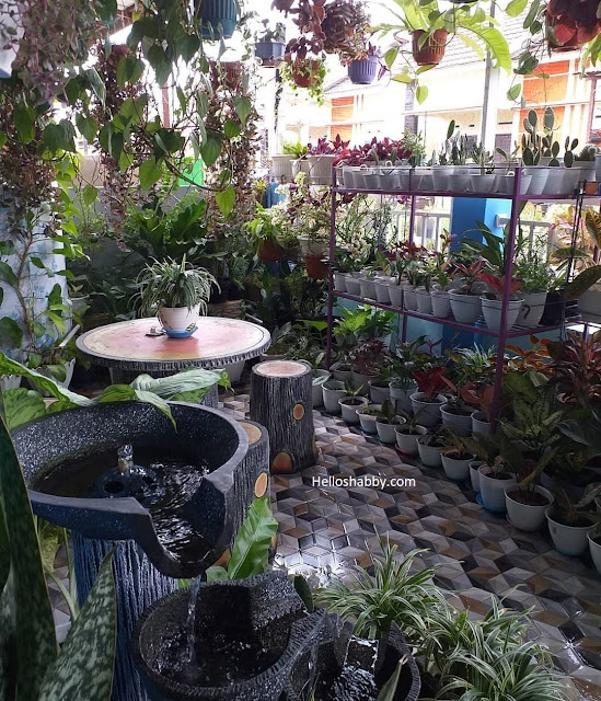 6 Cara Jitu Mendesain Taman Teras Mungil Super Ekonomis ~ HelloShabby