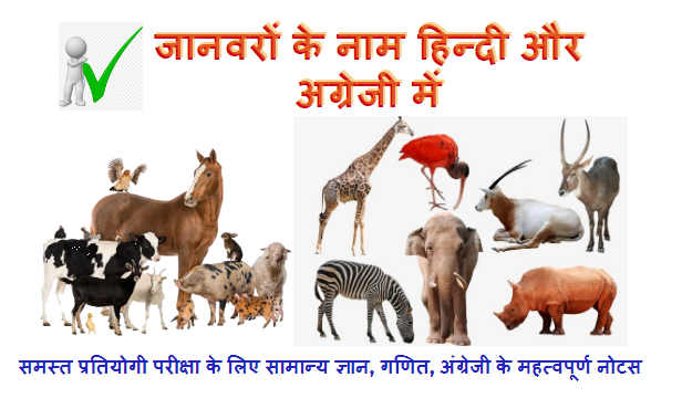 जानवरों केे नाम हिन्‍दी और अग्रेजी में - Animals Name in Hindi And English  With Photo - Hindi Exam Notes