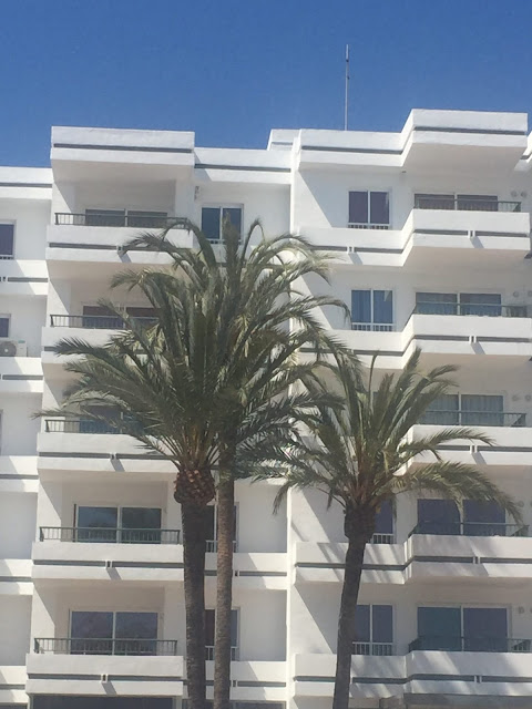 Bellevue Club Hotel in Alcudia white apartment blocks with palm trees in front
