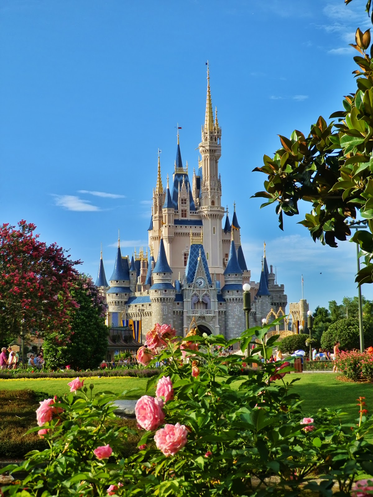 Disney Vacation Kingdom: A Fairy Tale Castle