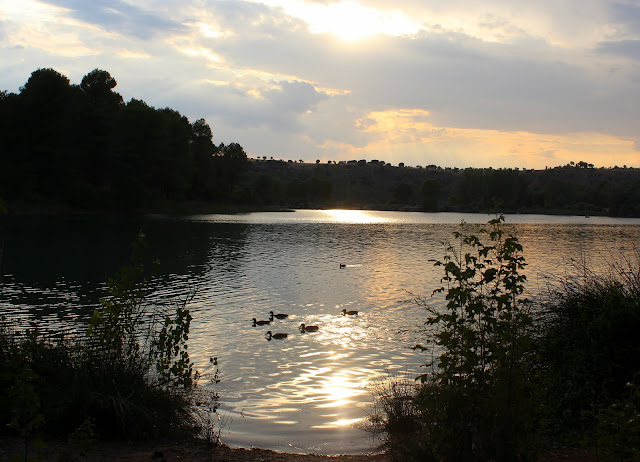 Atadecer en las lagunas de Ruidera. Patos en la laguna de Ruidera. Laguna Redondilla