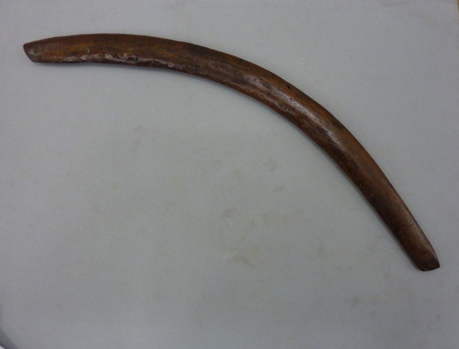 Experimental prehistory & various digressions Traditional boomerangs