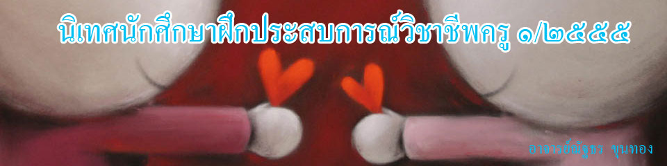 นิเทศน์นักศึกษาฝึกประสบการณ์วิชาชีพ