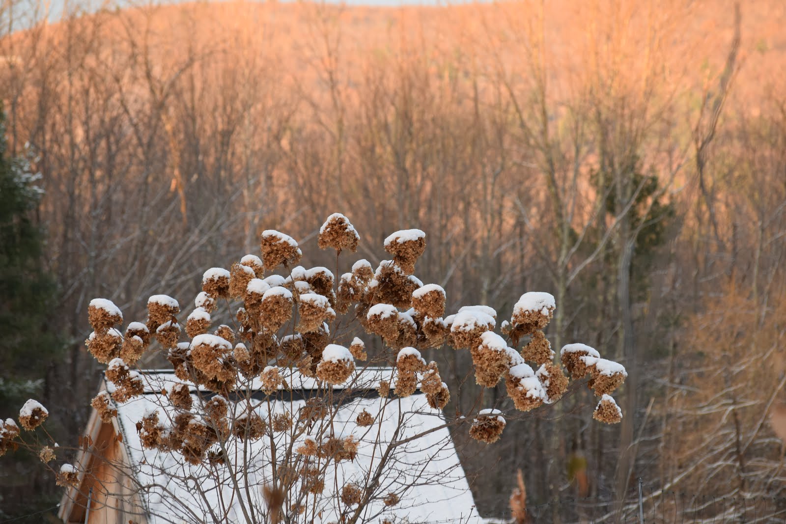 Jericho, Vermont Photos Jericho Vermont Images of Community 2019 in Review