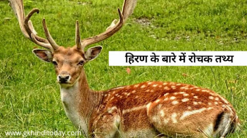 Intersting fact about deer gk in hindi