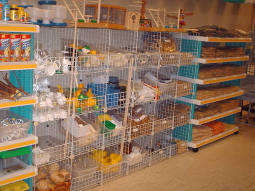 Bird In Everything: Birds In Pet Stores