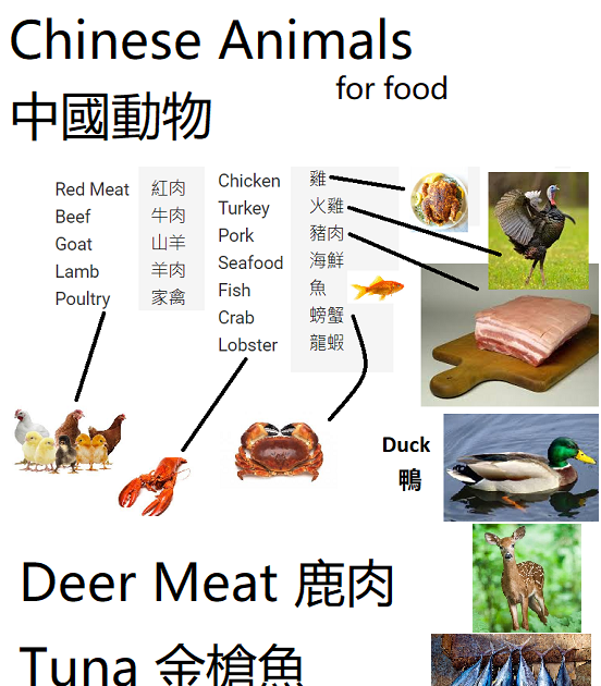 China Grammar Chinese Animals to eat 中國動物吃
