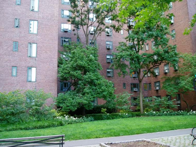 The Stuyvesant Town Report Photos....