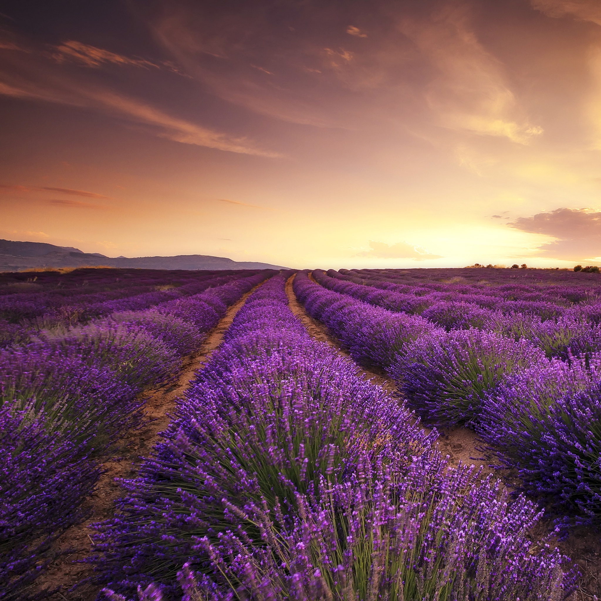 Wallpapers iPad Pro 9.7 Pack 1