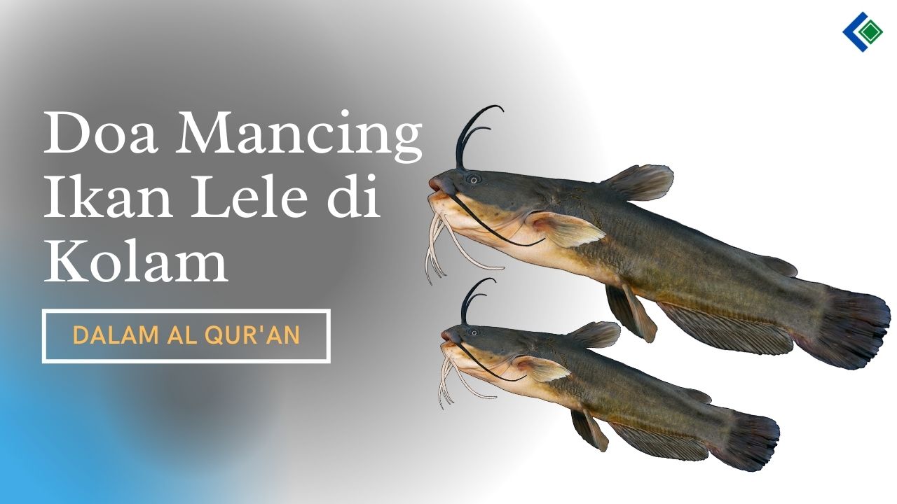 Doa Mancing Ikan Lele Di Kolam Dalam Al Quran Caracari