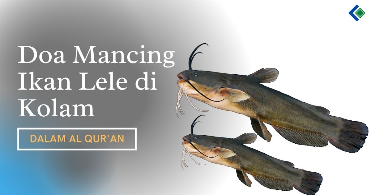 Doa Mancing Ikan Lele Di Kolam Dalam Al Quran Caracari