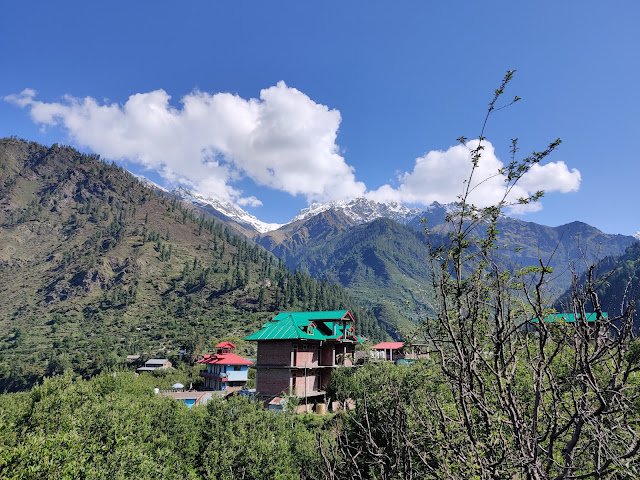 The Ultimate Guide To Himachal Pradesh kalga