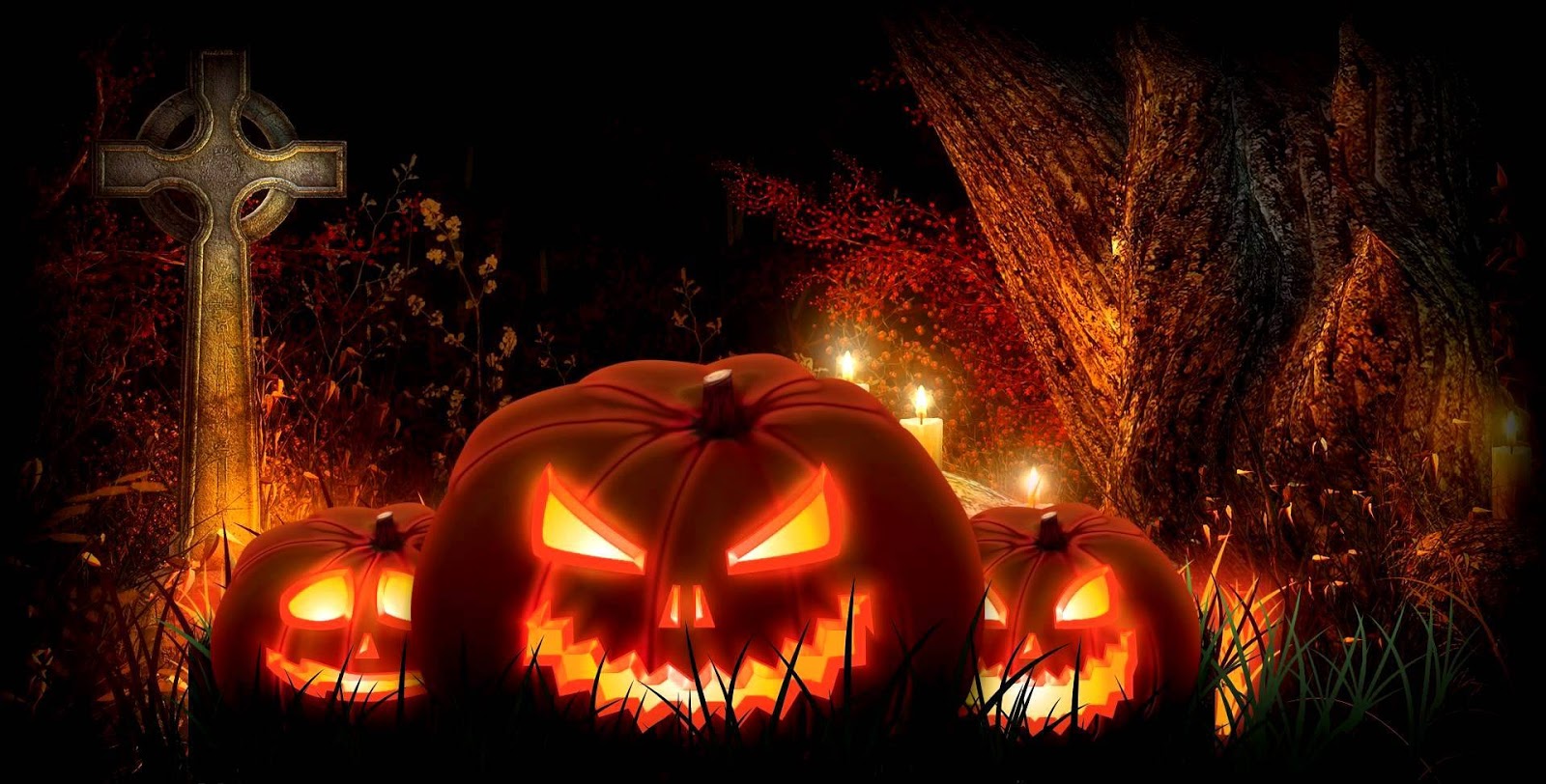 Halloween festival of Sharing love..