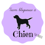 https://stylenuage.wordpress.com/2015/02/17/team-blogueuse-a-chien-mes-macarons/