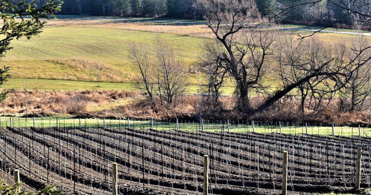 Camera on King & Aurora Keele Street & Kettleby Road...