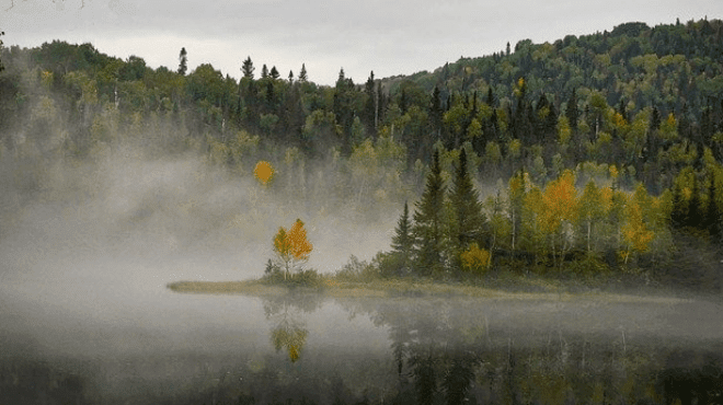 Essay on Environment in Marathi Language Essay on Environment in Marathi Language